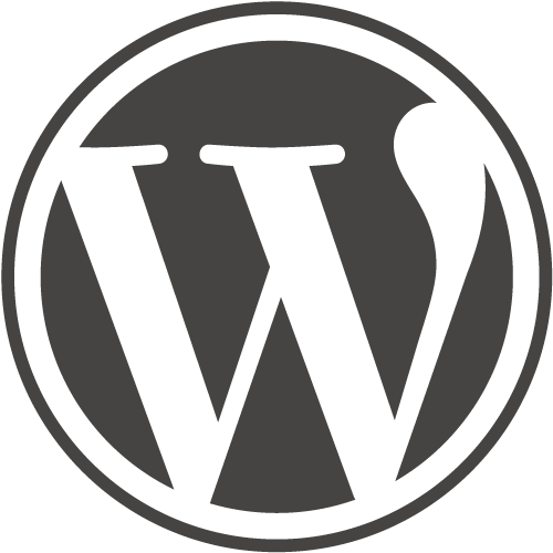How to Add Google News Meta with WordPress Tags